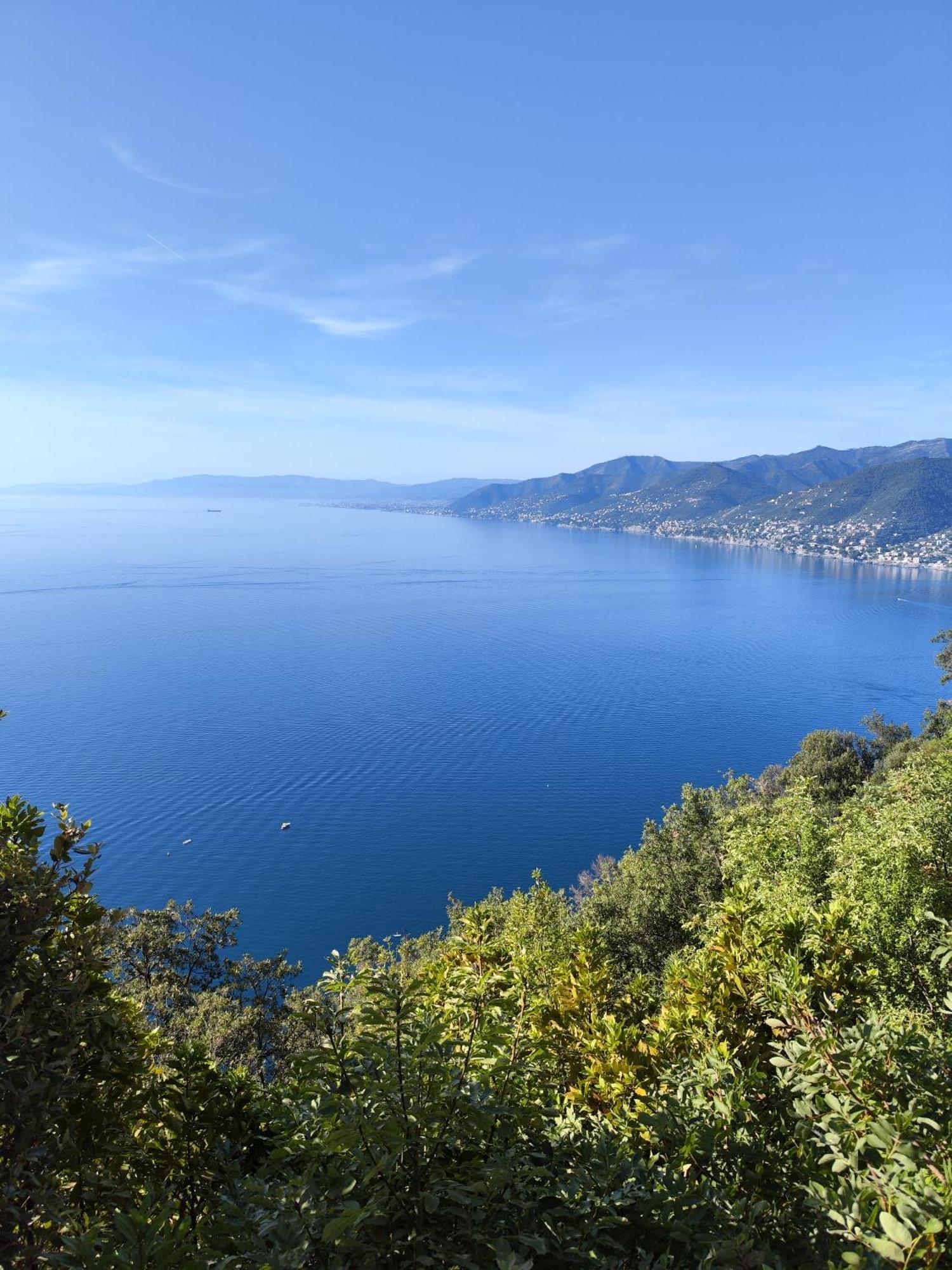 La Conchiglia Bed & Breakfast Camogli Exterior foto