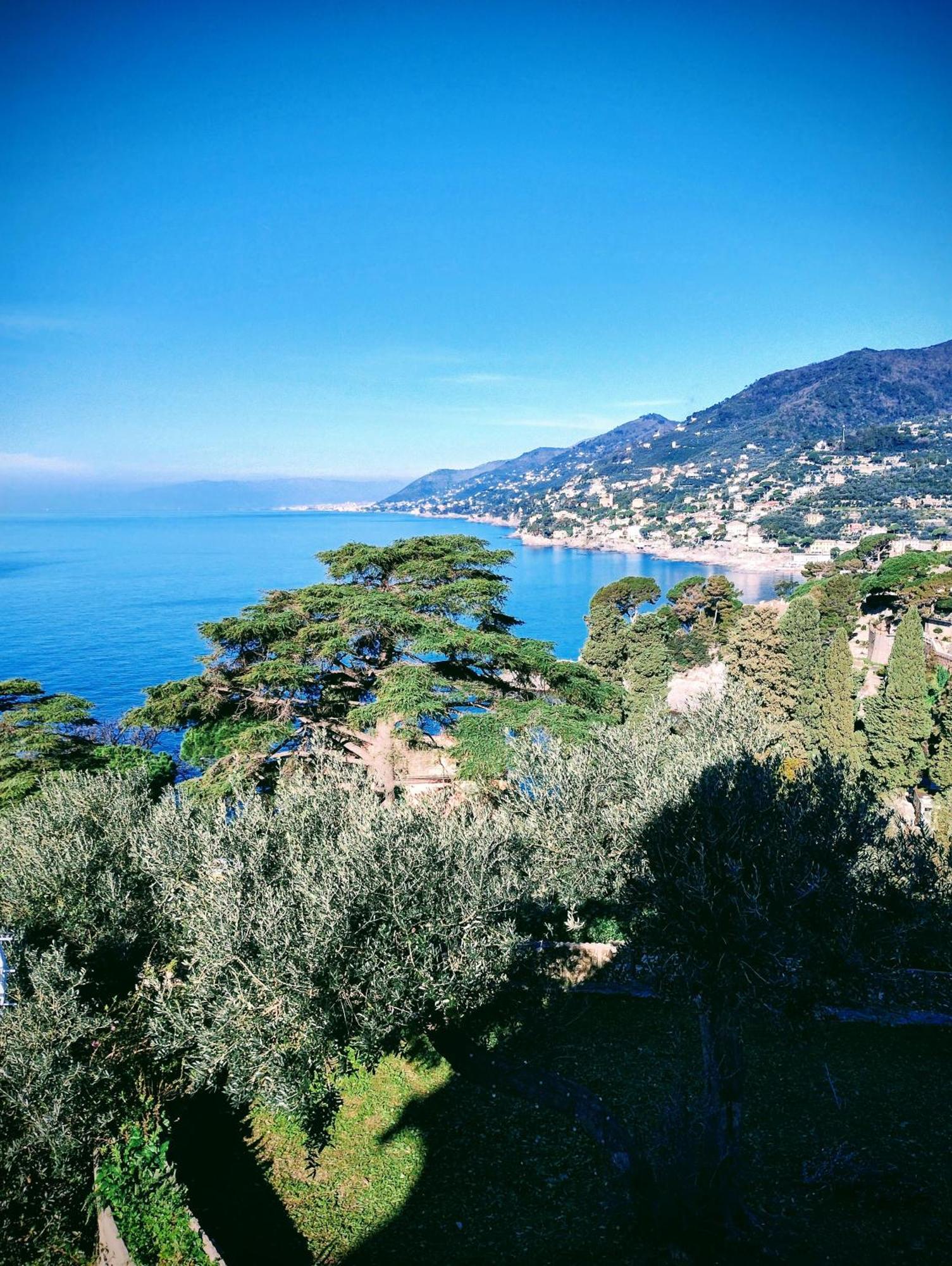 La Conchiglia Bed & Breakfast Camogli Exterior foto