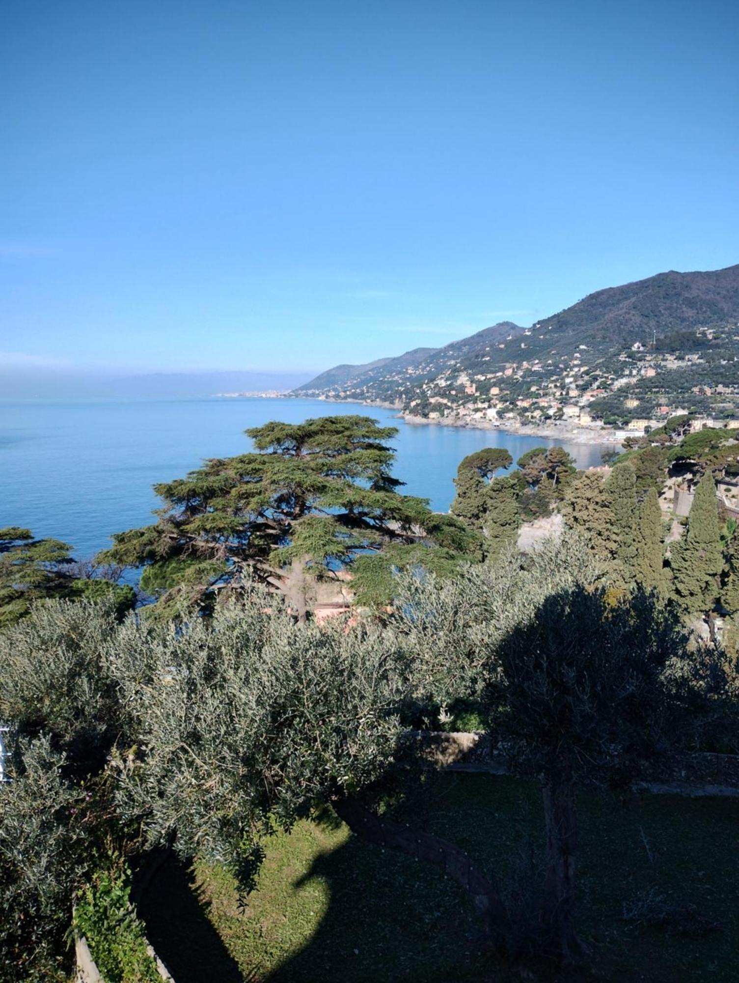 La Conchiglia Bed & Breakfast Camogli Exterior foto